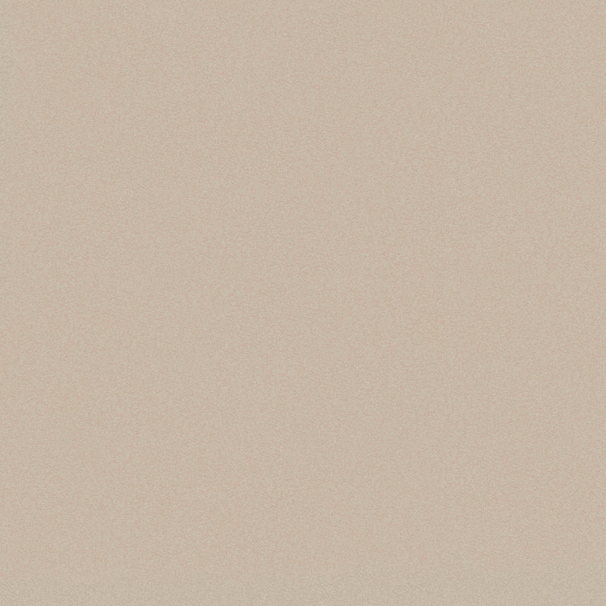 Plain Beige