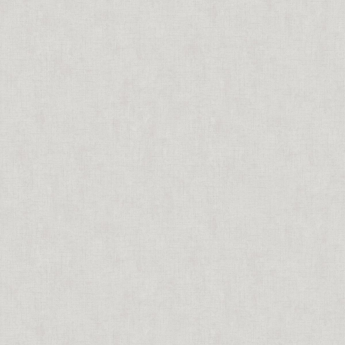 Plain - Pale Silver