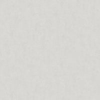 Plain - Pale Silver