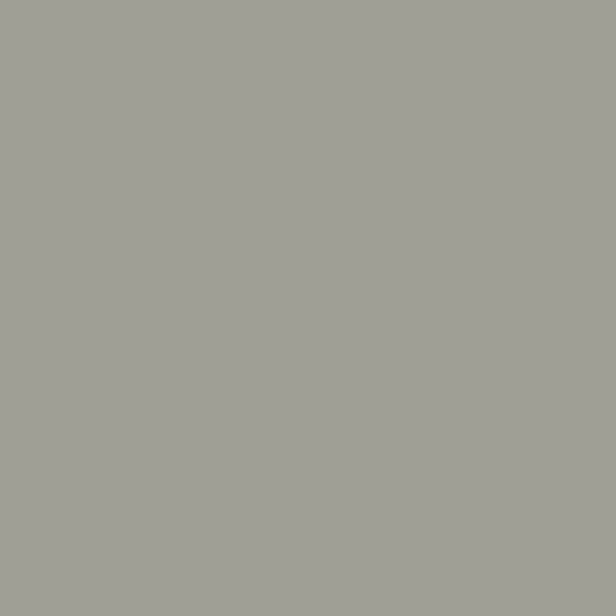 Elephant Grey Zoffany Paint
