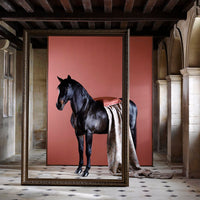 Russet Zoffany Paint