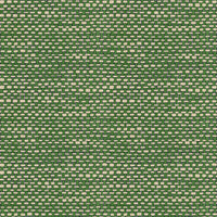 Acapulco - Cactus