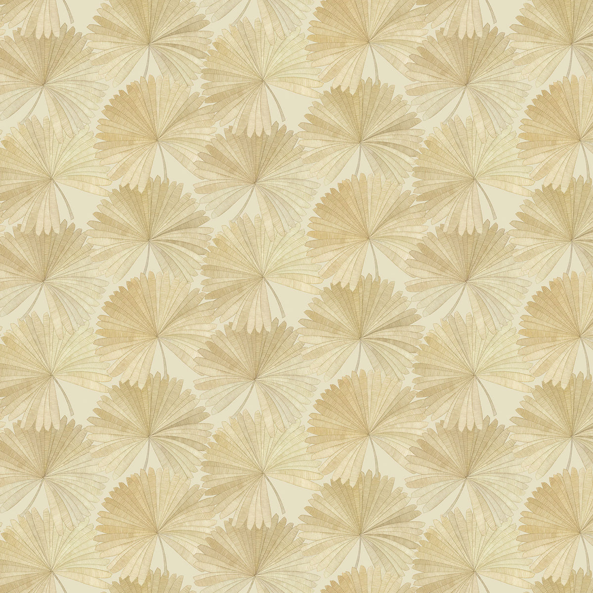 Bangkok Nights - Coconut