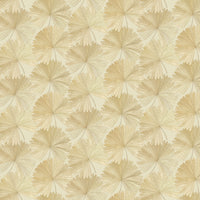 Bangkok Nights - Coconut