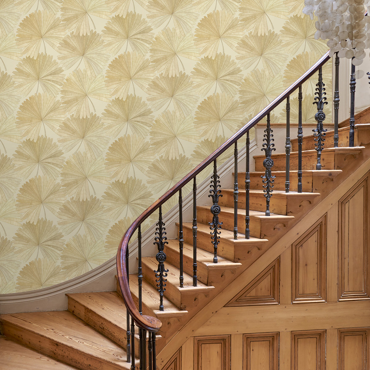 Bangkok Nights - Coconut