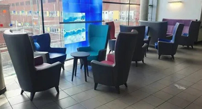 Room Story: Hospital Critical Care - Malcolm Hart Foundation