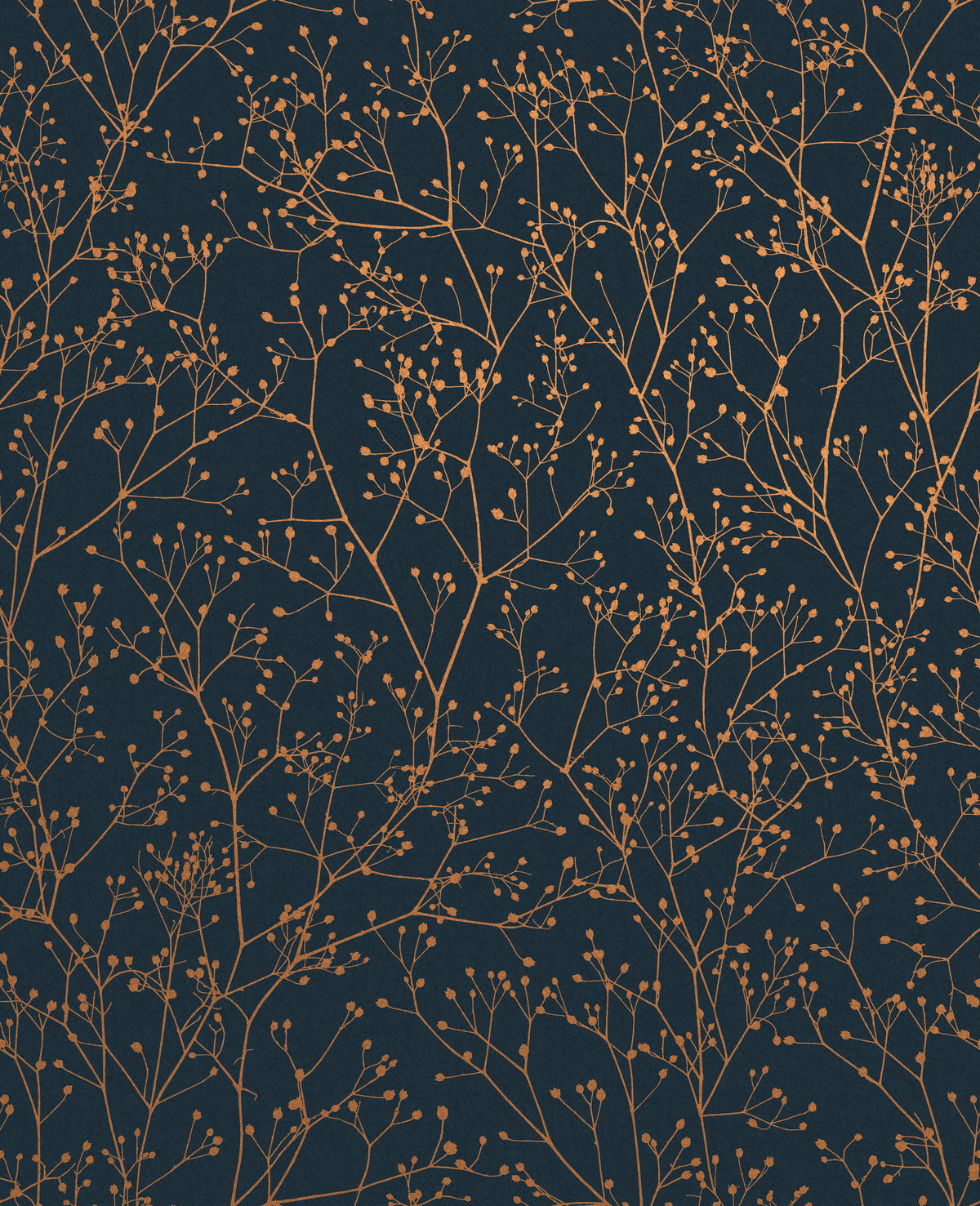 Gypsophila Mighnight & Copper