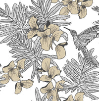 1838 Wallcoverings Aurora Hummingbird