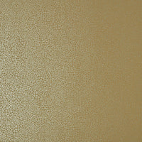 1838 Wallcoverings Elodie Emile